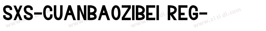 SXS-Cuanbaozibei Reg字体转换